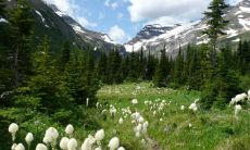 探讨如何创作具有威力、引人注目的5个字的口号！