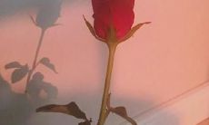 每天起床都让我感到无比心痛的句子