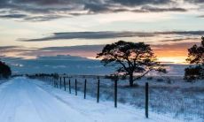 探秋厚朴，品味清霜经典之美：霜降经典文案句子集锦