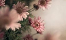 享受幸福快乐后，遗留的却只有记忆长存