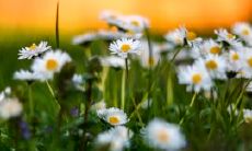 欣喜万分的文艺句子，让你在文字世界里感受无限美好！