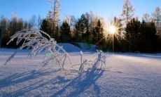 展现冬日景色的绝美文字：优美句子和段落描绘缤纷飘雪的壮丽景象