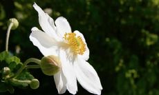 一些经典的句子和格言，帮助你抵制下雨天的负面情绪！ - 赋予你想要的力量