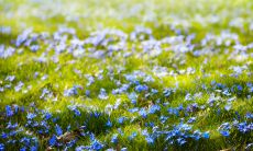 给你的亲友们：祝你们春季天气变幻莫测时能保持健康和快乐！