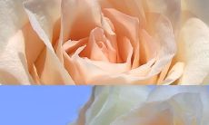 20岁不相信却在30岁深信不疑的真理：探讨年龄对人生观的影响