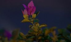 用讽刺手法的特别真实的句子，反映社会现实