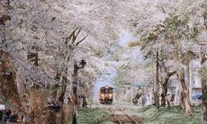 揭示2021年牛年新年创意、独特的祝福和诗意的文案！