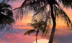 生命中最珍贵的财富——亲情，带给我们关乎生活的宝贵启示录