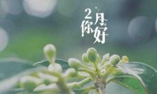 道别一月，迎来二月：分享你的心情与感受