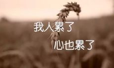 我感到心力憔悴，心态即将崩溃