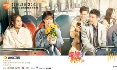 《向阳而生》中令人难忘的经典台词，引发共鸣，感悟人生