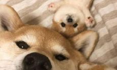 无尽的喜悦洋溢心头，释放内心激动的句子！