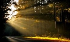 一些极其有趣又令人快乐的幽默语录，能够让人不断发笑而感到极度开心的句子