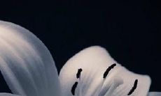 精选的表达深刻亲情主题的哲理或深情句子