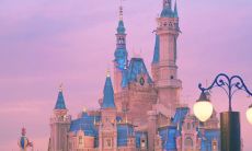 不断付出努力与坚持的句子，拼尽全力追求进步的精神