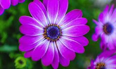 无限激励心灵的充满激情的励志名言，鼓舞人心，激发无限创造力！