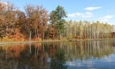 后悔万分：收录有关懊悔、忏悔和反悔的经典名言和格言