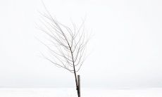 女性情感表达：心情郁闷时想借酒浇愁的伤感句子