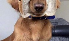 愉快欢乐嬉笑的幽默句子，让你心情愉悦开心