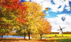 在寒冷的天气里，如何通过短信问候来关注亲友的身体健康与养生？