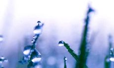 一些适用于寒露节气的祝福，用于发送短信的文案建议