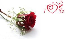 2022七夕情人节，用短信表达浓浓爱意的祝福与情话大全