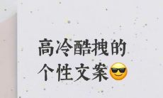 高雅冷静兼具独特魅力的个性签名