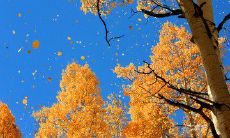 享受诗意氛围，尽情痛饮畅快，个个心情欢畅的喜悦之句