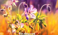 感人至深、充满亲情温馨的句子，打动人心