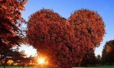 大合集：包含霸气十足、血泪控诉的痛彻心扉的句子！