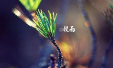 2022年全新最全谷雨时节祝福语集锦，让你在传统文化中迎接新时代的问候与祝福！