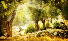 不堪腰痛与心烦的痛苦：如何缓解这些不适？