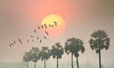 拥有内涵与高雅的语句，展现个人品味与文化素养