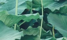 创意安全口号：独具匠心、浑然天成、惊艳无比的霸气押韵至上！