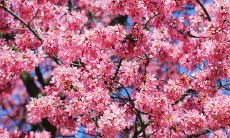 美容院精心发送的个性化问候短信，为顾客提供更加贴心细致的关怀和服务