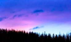 祝福带来喜悦开心开怀的句子，让心情更加舒畅愉悦