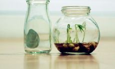 经典名言警句第十九期：智者言语，励志正能量，启发人心的名言警句汇总