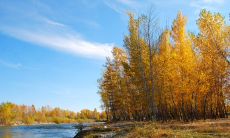 一大早心情烦乱，思绪纷乱，感觉世界都在向我疯狂轰击的描述