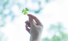 分享一些简单而欢愉的语句来表达心情的愉快感受