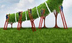 献上真挚祝福，愿祝福公司蓬勃发展、茁壮成长，实现更加辉煌的未来！