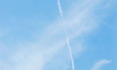 如何用诗句赞美牛勤劳朴实的美德？