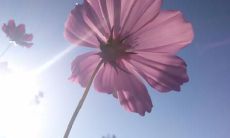 十句寓意深刻、引导人生积极的祝福语，足以引领你走向幸福和成功的道路