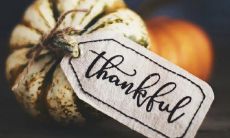 感恩之情绵绵不绝，化作无尽感慨的句子，温暖人心，引发怒放的爱与关怀