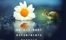 探析富有沮丧和无望情绪的句子，对于世界充满了失望的心态的再思考