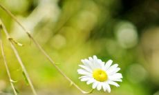 似乎在现实中，亲情总是让人倍感疼痛的那些句子