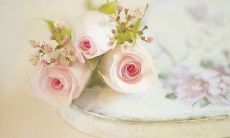 国外客户因病患感，互发问候短信，表达关爱与支持之情