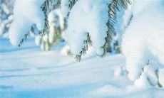 有关在下雪时感到开心的一些句子，使您感受到冬天的神奇和美好