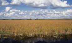 这个周末，用短信送出您的问候给客服 – 一种简单而有效的连接方式