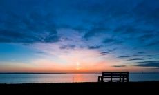 哀叹工作不如意、让人失望的句子