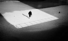 喜欢孤独的人们：一组探反常态豁达的孤独之句